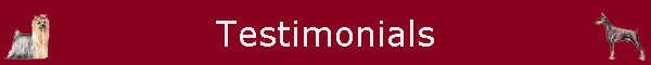 Testimonials